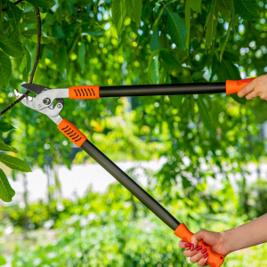 Sekator do gałęzi STRONG 62cm